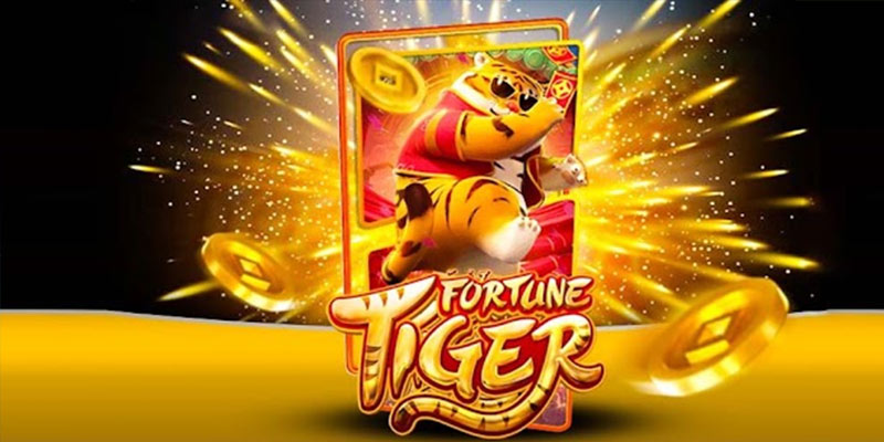 Quem é o Fortune Tiger 70betbet.Com